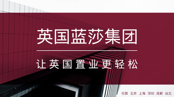 蓝莎集团介绍